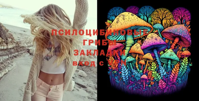 как найти закладки  Торопец  Галлюциногенные грибы Cubensis 